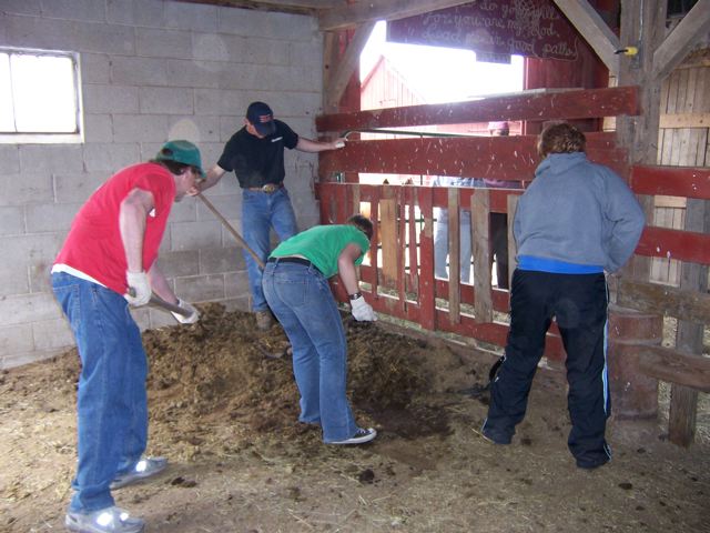 clean barn