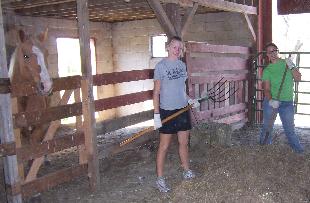 Clean barn