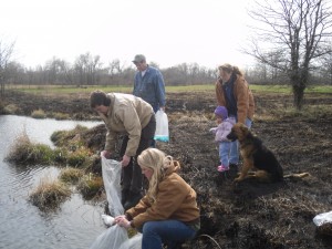 Stocking back pond with fish